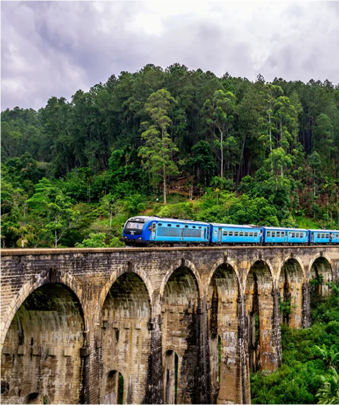 Le train dans les montagnes du Sri Lanka
